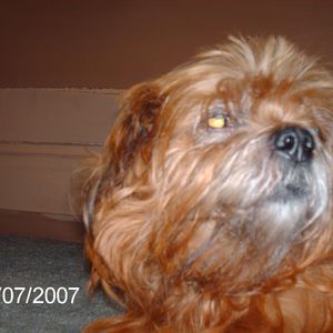 Meet your Posher, Nancy